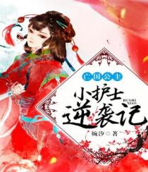 书名:亡国公主:小护士逆袭记